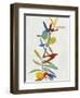 Colorful Nature IV-Danielle Carson-Framed Art Print