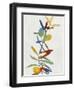 Colorful Nature IV-Danielle Carson-Framed Art Print