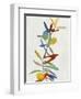 Colorful Nature IV-Danielle Carson-Framed Art Print