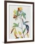 Colorful Nature V-Danielle Carson-Framed Art Print