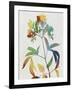 Colorful Nature V-Danielle Carson-Framed Art Print