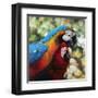 Colorful Pair-Arcobaleno-Framed Art Print