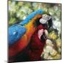 Colorful Pair-Arcobaleno-Mounted Art Print