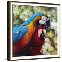 Colorful Pair-Arcobaleno-Framed Art Print