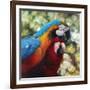 Colorful Pair-Arcobaleno-Framed Art Print