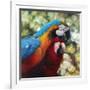 Colorful Pair-Arcobaleno-Framed Art Print