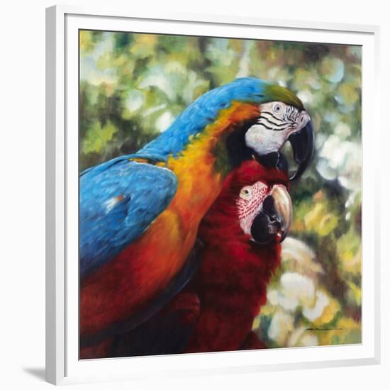 Colorful Pair-Arcobaleno-Framed Art Print