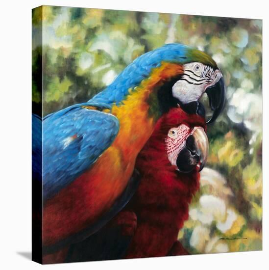 Colorful Pair-Arcobaleno-Stretched Canvas
