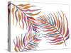 Colorful Palm Leaves II-Gina Ritter-Stretched Canvas