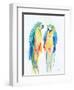 Colorful Parrots I-Aimee Del Valle-Framed Art Print