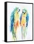 Colorful Parrots I-Aimee Del Valle-Framed Stretched Canvas