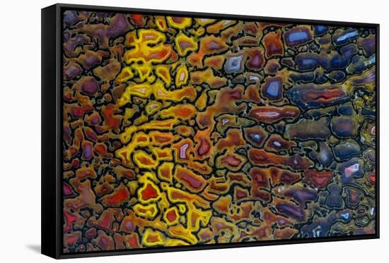 Colorful Petrified Dino Bone-Darrell Gulin-Framed Stretched Canvas