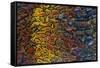 Colorful Petrified Dino Bone-Darrell Gulin-Framed Stretched Canvas