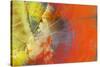 Colorful Petrified Wood-Darrell Gulin-Stretched Canvas