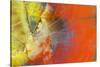 Colorful Petrified Wood-Darrell Gulin-Stretched Canvas