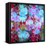 Colorful Photographic Layer Work from Orchids and Floral Ornaments-Alaya Gadeh-Framed Stretched Canvas