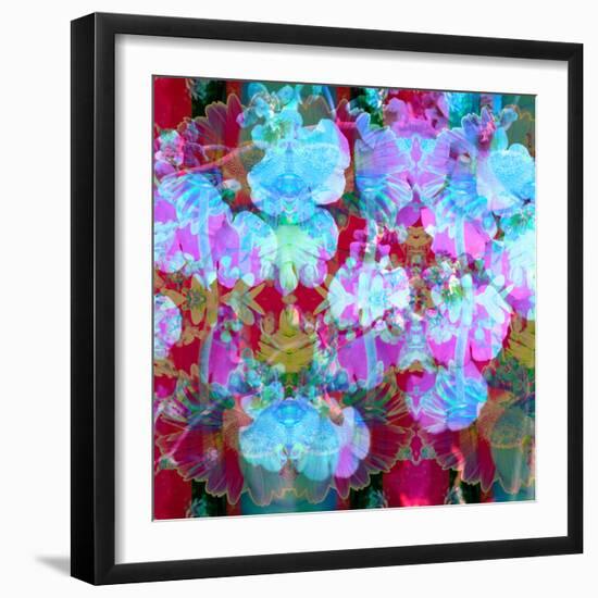 Colorful Photographic Layer Work from Orchids and Floral Ornaments-Alaya Gadeh-Framed Photographic Print