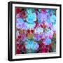 Colorful Photographic Layer Work from Orchids and Floral Ornaments-Alaya Gadeh-Framed Photographic Print
