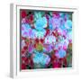 Colorful Photographic Layer Work from Orchids and Floral Ornaments-Alaya Gadeh-Framed Photographic Print