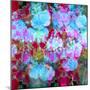 Colorful Photographic Layer Work from Orchids and Floral Ornaments-Alaya Gadeh-Mounted Photographic Print