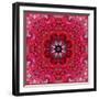 Colorful Photographic Layer Work from Red Roses-Alaya Gadeh-Framed Photographic Print