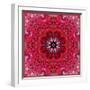 Colorful Photographic Layer Work from Red Roses-Alaya Gadeh-Framed Photographic Print