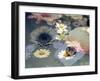 Colorful Photographic Layer Work of Blossoms-Alaya Gadeh-Framed Photographic Print