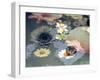 Colorful Photographic Layer Work of Blossoms-Alaya Gadeh-Framed Photographic Print