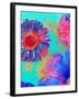 Colorful Photographic Layer Work of Blossoms-Alaya Gadeh-Framed Photographic Print