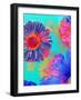 Colorful Photographic Layer Work of Blossoms-Alaya Gadeh-Framed Photographic Print