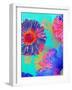 Colorful Photographic Layer Work of Blossoms-Alaya Gadeh-Framed Photographic Print