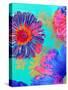 Colorful Photographic Layer Work of Blossoms-Alaya Gadeh-Stretched Canvas