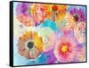 Colorful Photographic Layer Work of Blossoms-Alaya Gadeh-Framed Stretched Canvas