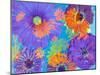 Colorful Photographic Layer Work of Blossoms-Alaya Gadeh-Mounted Photographic Print