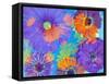 Colorful Photographic Layer Work of Blossoms-Alaya Gadeh-Framed Stretched Canvas