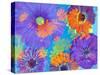 Colorful Photographic Layer Work of Blossoms-Alaya Gadeh-Stretched Canvas