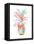 Colorful Pineapple Clean-Jace Grey-Framed Stretched Canvas