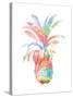 Colorful Pineapple Clean-Jace Grey-Stretched Canvas