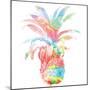 Colorful Pineapple Clean-Jace Grey-Mounted Art Print