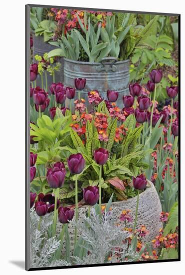 Colorful planters at entrance to Chanticleer Garden, Wayne, Pennsylvania.-Darrell Gulin-Mounted Photographic Print