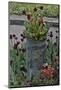 Colorful planters at entrance to Chanticleer Garden, Wayne, Pennsylvania.-Darrell Gulin-Mounted Photographic Print