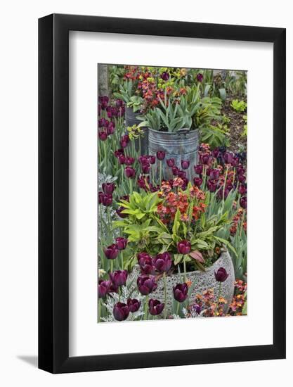 Colorful planters at entrance to Chanticleer Garden, Wayne, Pennsylvania.-Darrell Gulin-Framed Photographic Print