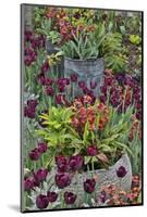 Colorful planters at entrance to Chanticleer Garden, Wayne, Pennsylvania.-Darrell Gulin-Mounted Photographic Print