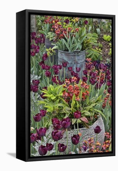 Colorful planters at entrance to Chanticleer Garden, Wayne, Pennsylvania.-Darrell Gulin-Framed Stretched Canvas