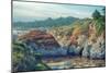 Colorful Point Lobos Seascape-Vincent James-Mounted Photographic Print