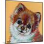 Colorful Pomeranian-Carolee Vitaletti-Mounted Art Print