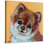 Colorful Pomeranian-Carolee Vitaletti-Stretched Canvas