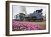 Colorful Portrait of the Little Train That Passes by Batasia Loop-Roberto Moiola-Framed Photographic Print