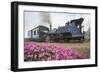 Colorful Portrait of the Little Train That Passes by Batasia Loop-Roberto Moiola-Framed Photographic Print