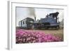 Colorful Portrait of the Little Train That Passes by Batasia Loop-Roberto Moiola-Framed Photographic Print